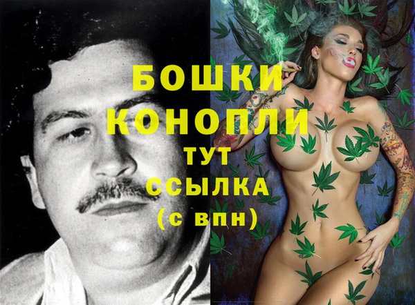 дживик Кулебаки