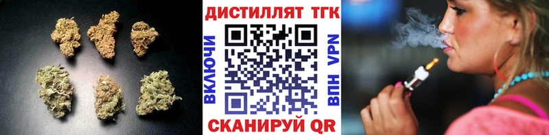 Купить где  Нестеров  ТГК концентрат 