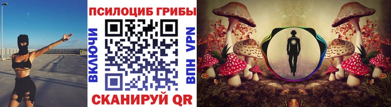 Галлюциногенные грибы GOLDEN TEACHER  Купить  Нестеров 